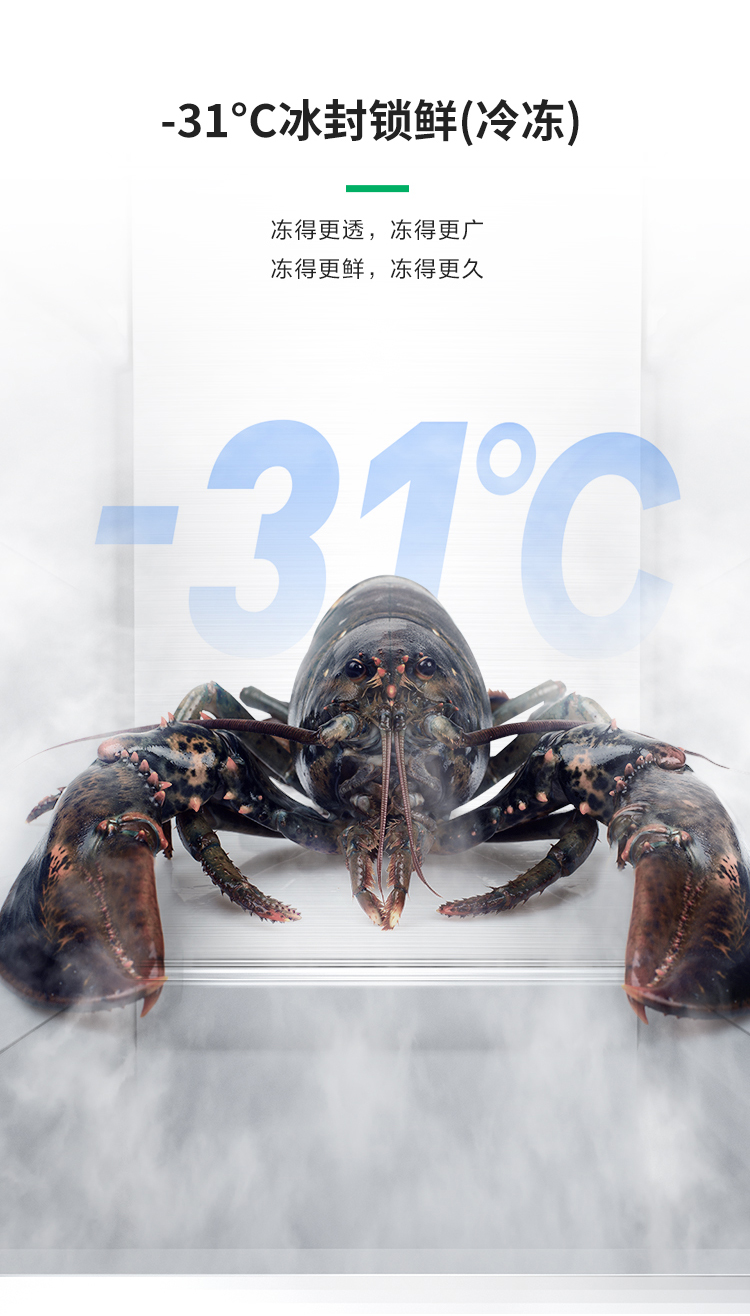 容声517IDP双净冰箱