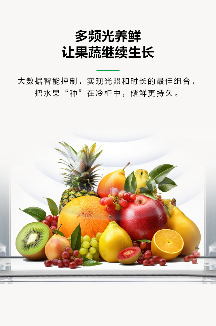 双净冰吧系列冷柜