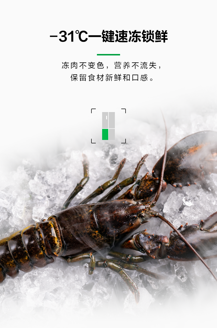 容声508IDP双净冰箱