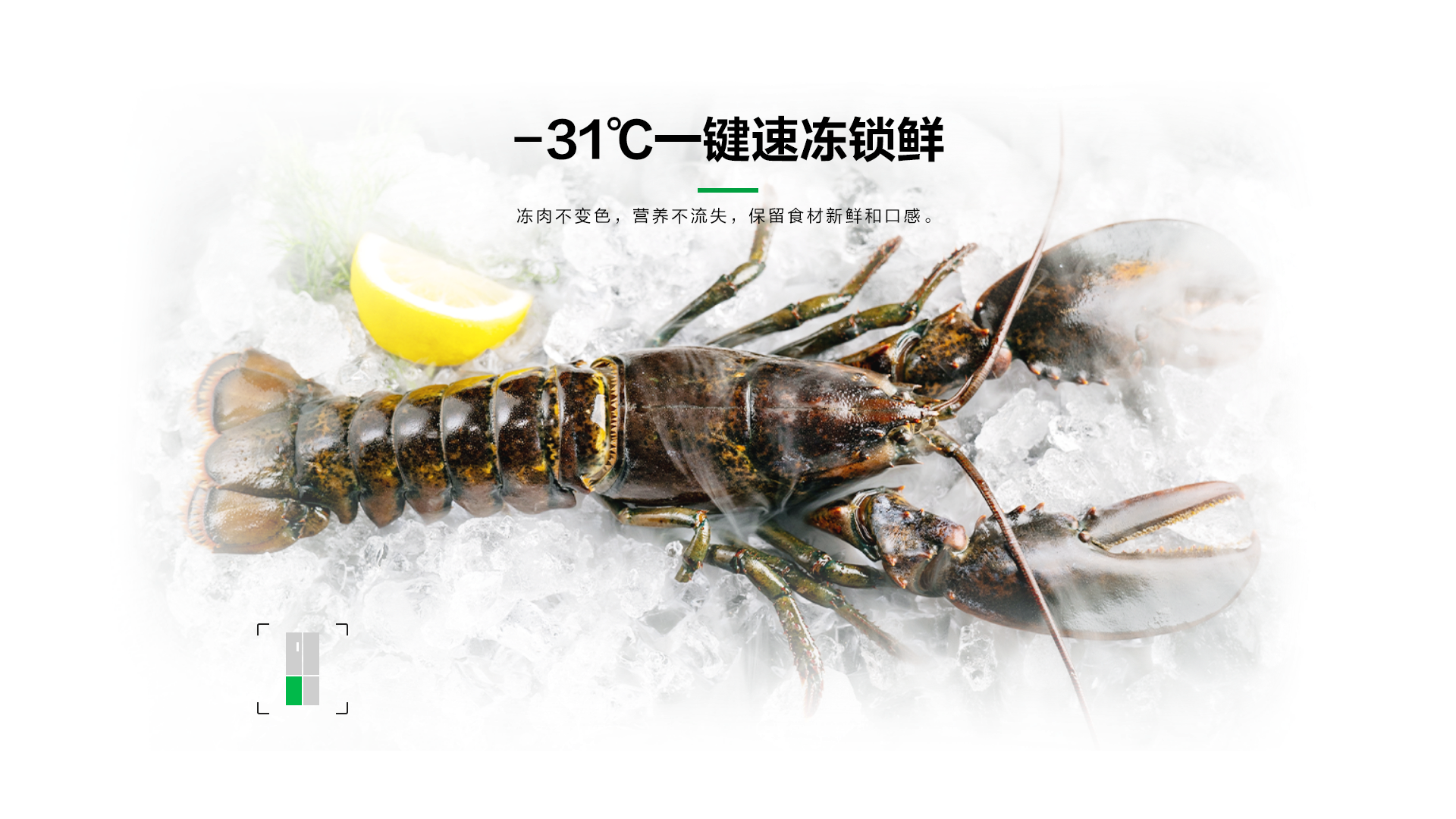 容声508IDP双净冰箱