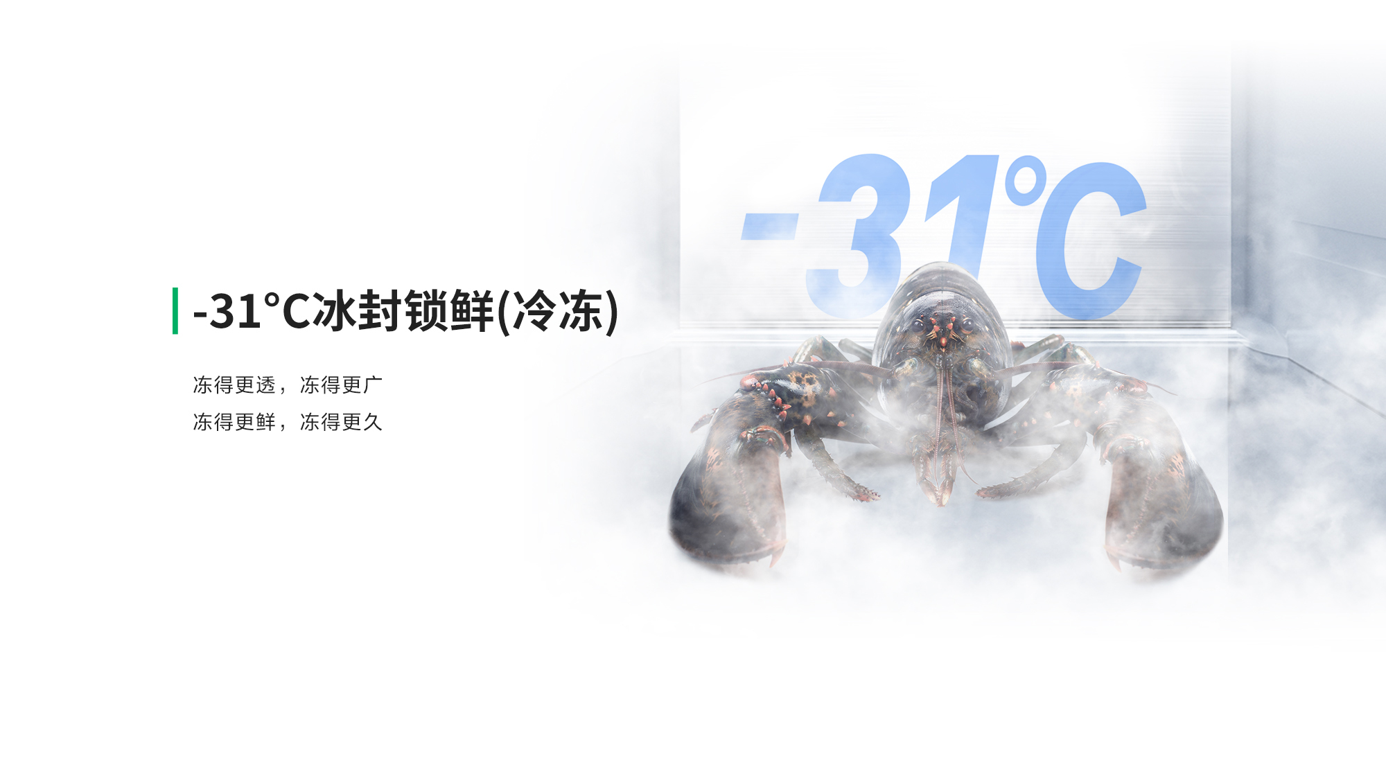 容声517IDP双净冰箱