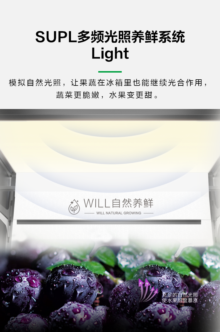 容声606WILL冰箱