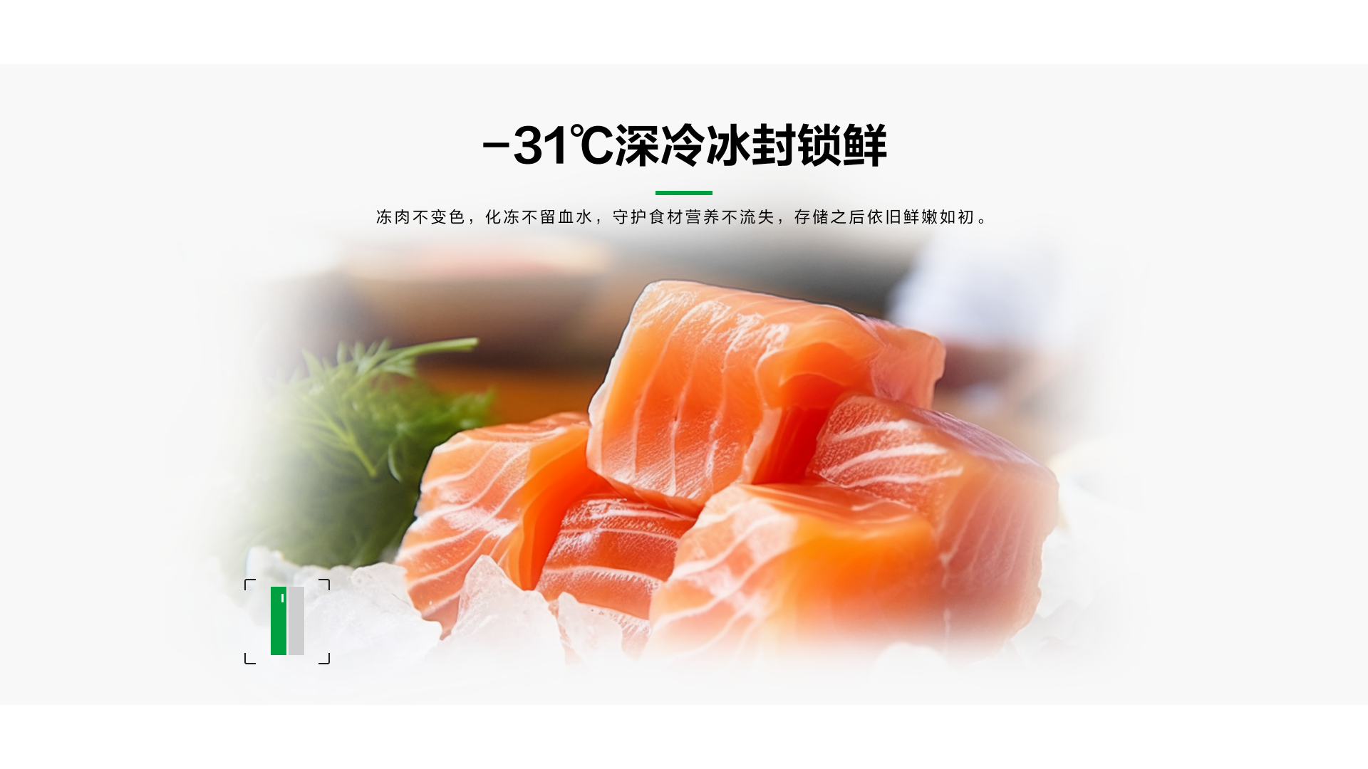 容声623双净冰箱