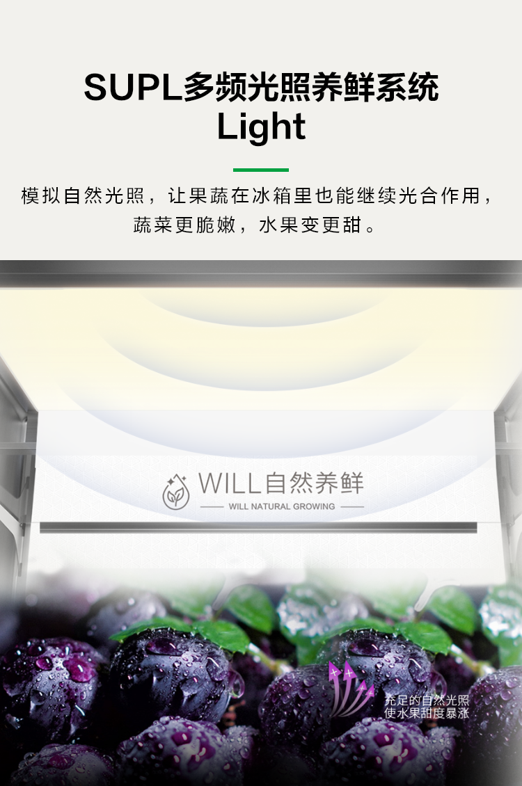容声621WILL冰箱