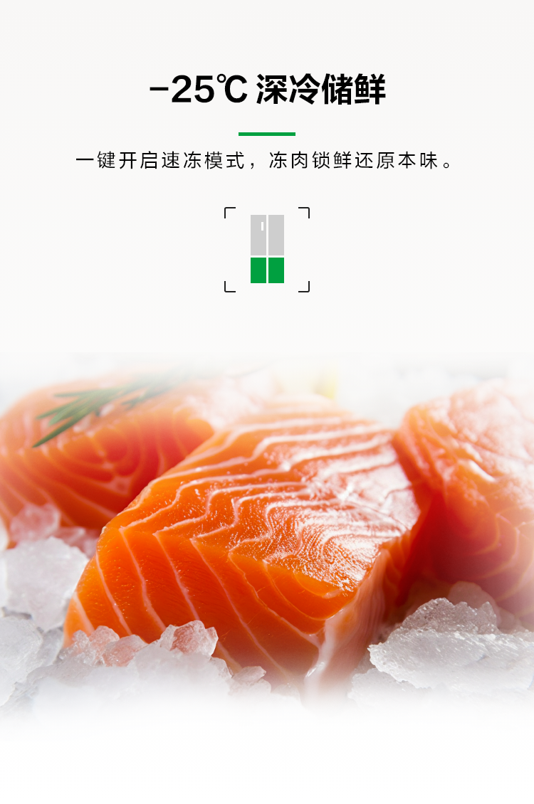 容声465质净冰箱