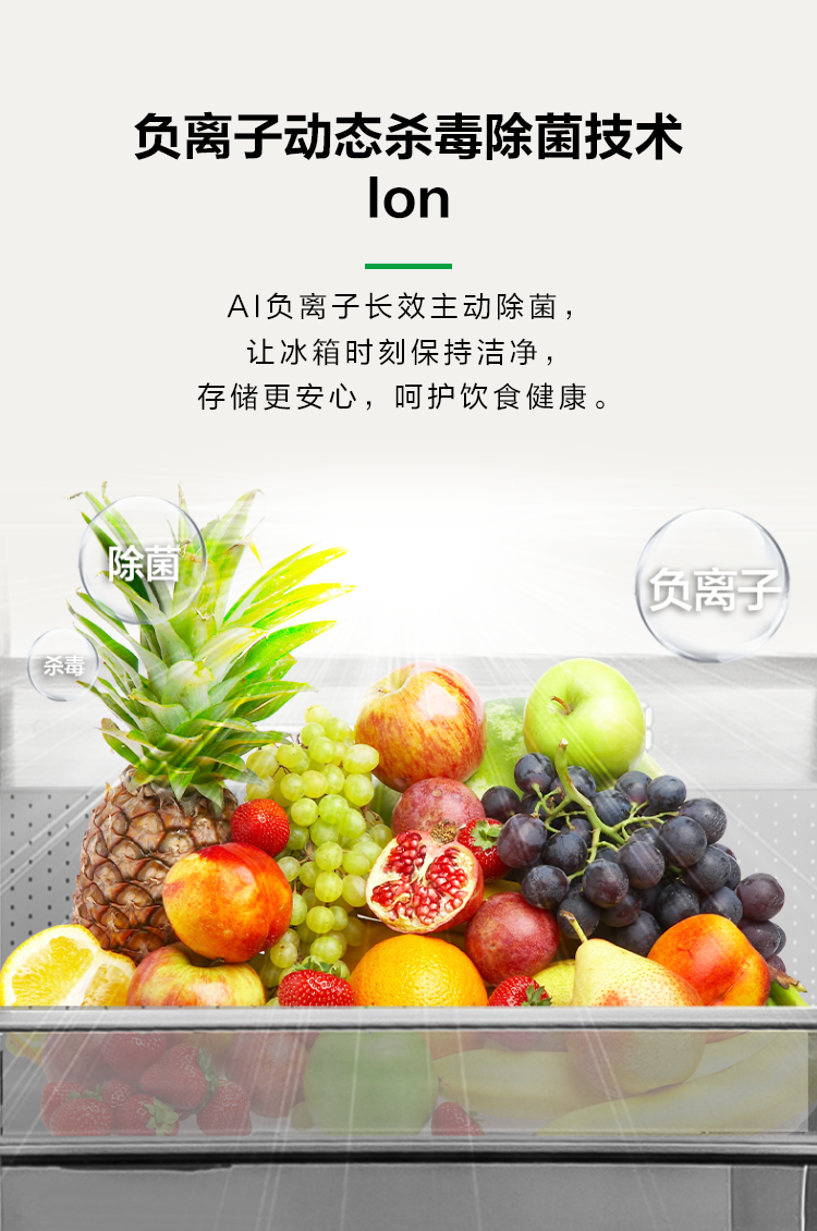 容声621WILL冰箱