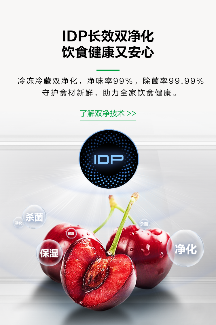 容声623双净冰箱