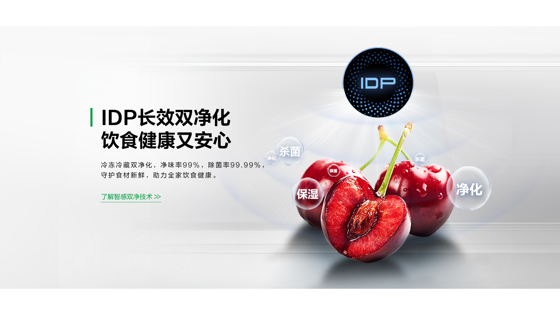 容声415双净冰箱