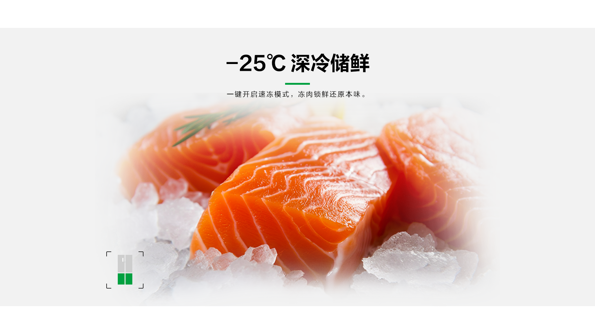 容声465质净冰箱