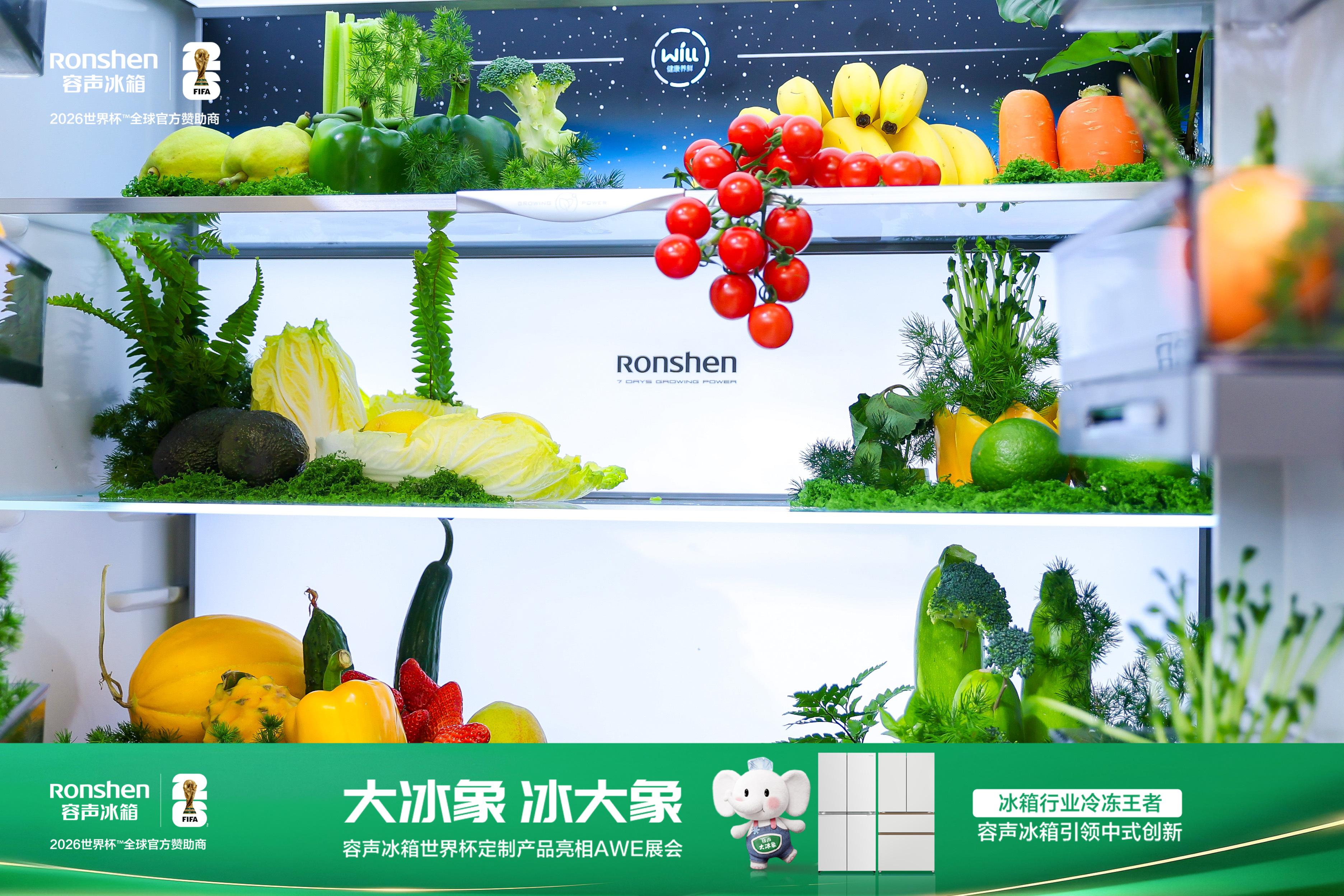 微信图片_2026-03-12_142958_298.jpg