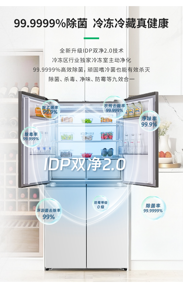 容声大冰象Pro 605冰箱